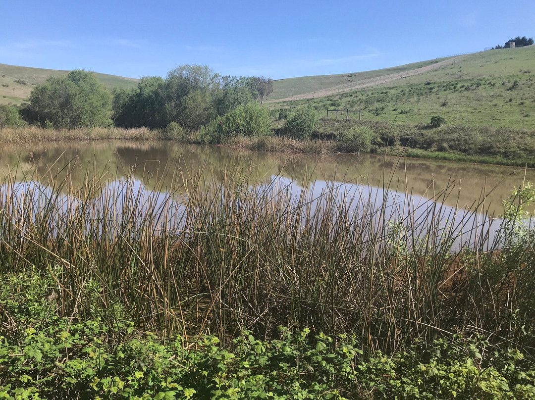 Sonoma Coast Villa主图