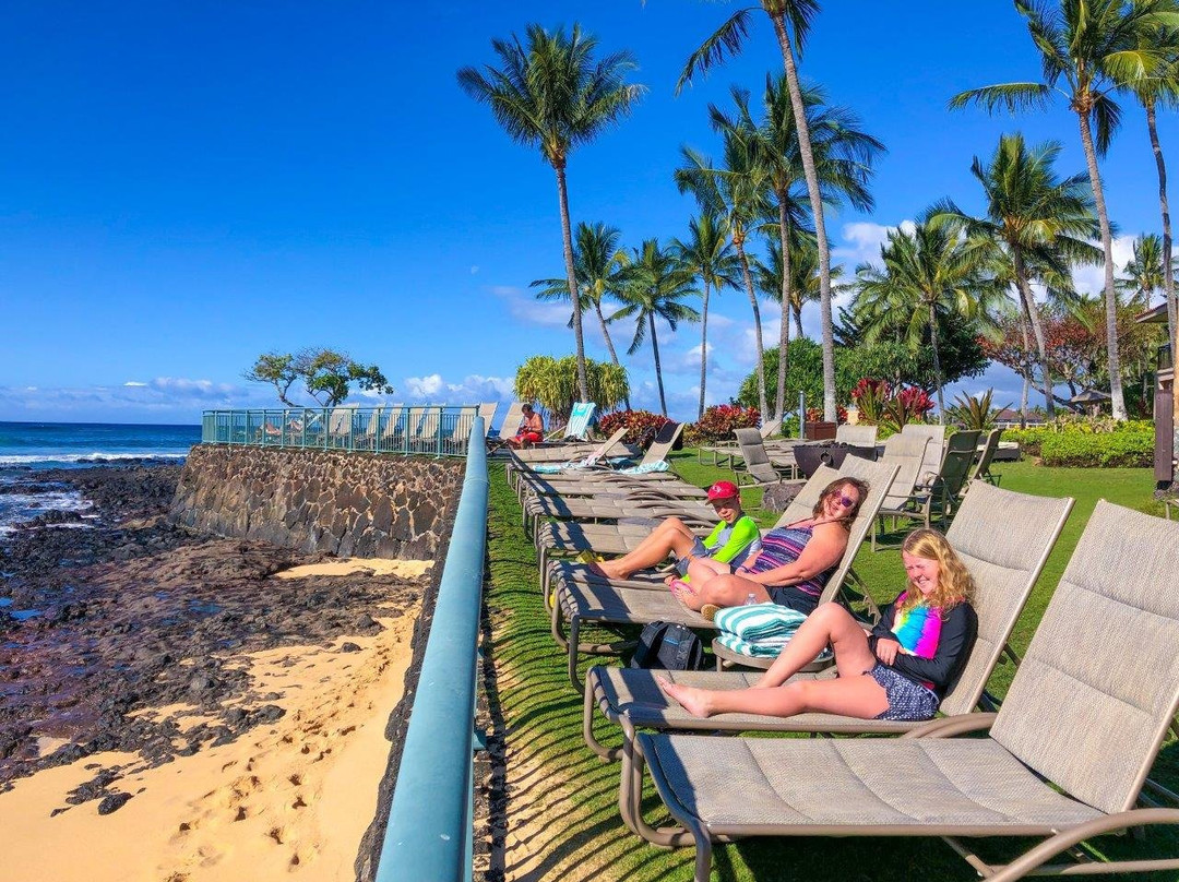 威尔哈伊海滩俱乐部万豪酒店主图