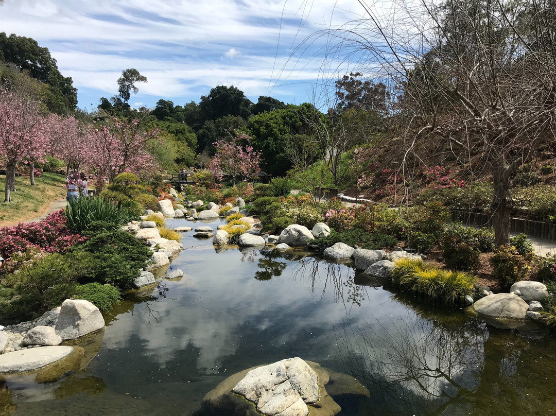 日本友谊花园景点图片