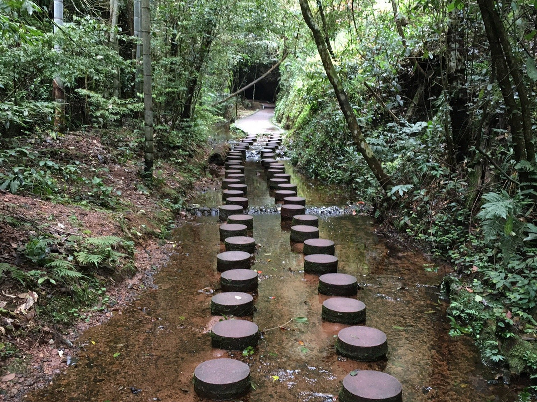 寨下大峡谷-泰宁县必去景点