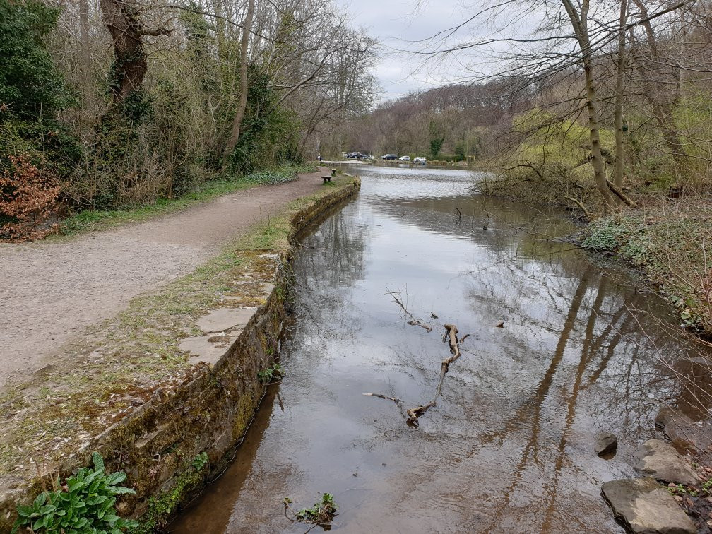 Rivelin Valley Nature Trail景点图片