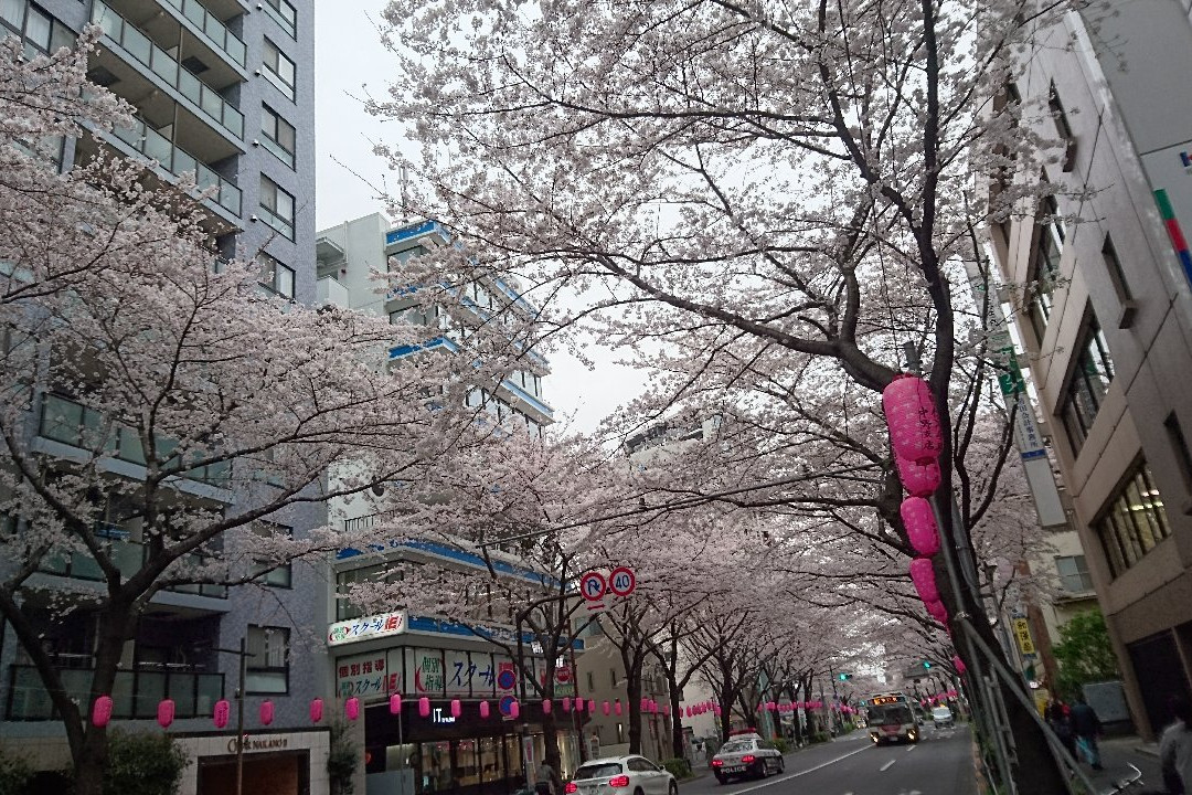 Nakano Street-中野区必去景点