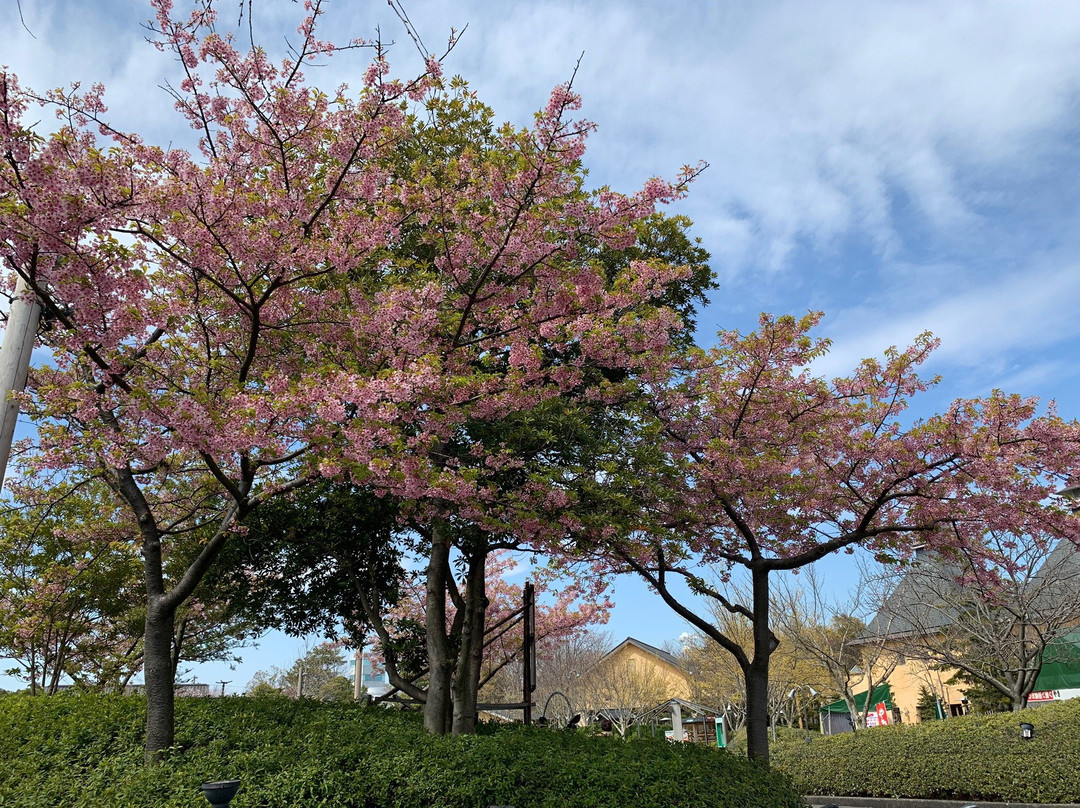 Satonoyu Nabananosato-桑名市必去景点
