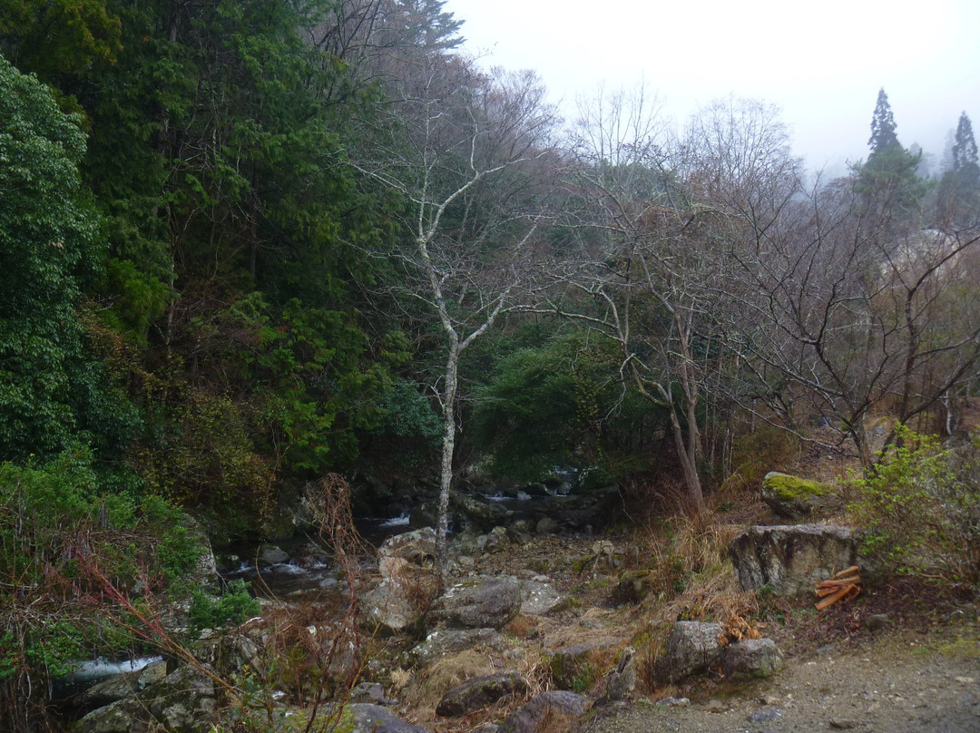 Ruri Valley-南丹市必去景点