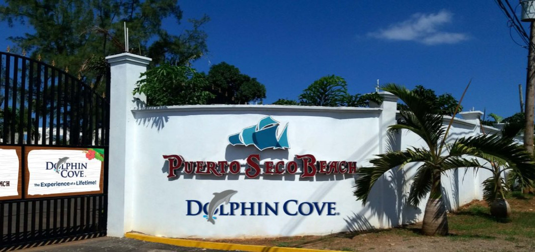 Dolphin Cove Puerto Seco Beach景点图片