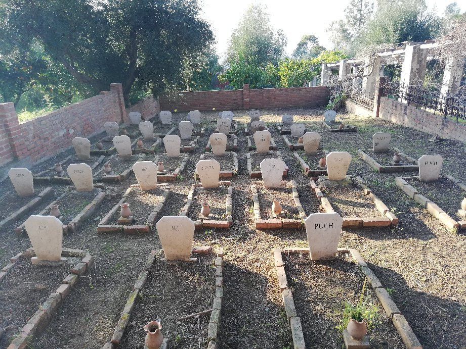 Capo D'orlando-墨西拿必去景点