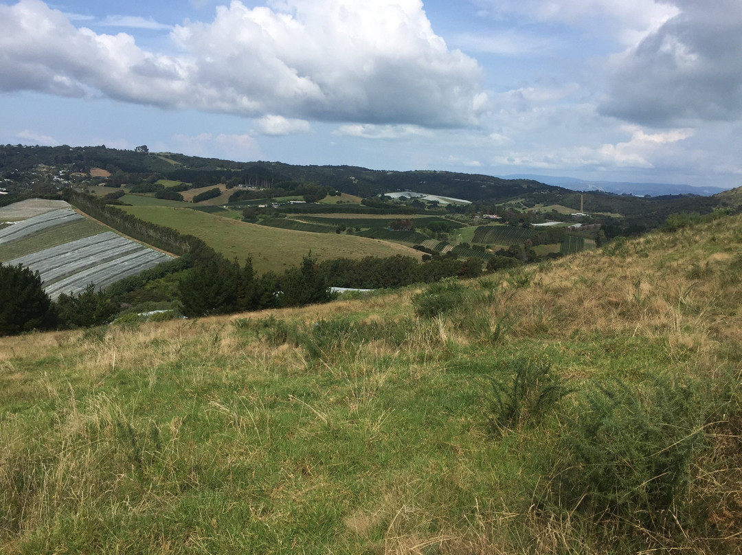 Waiheke Equestrian-怀系奇岛必去景点