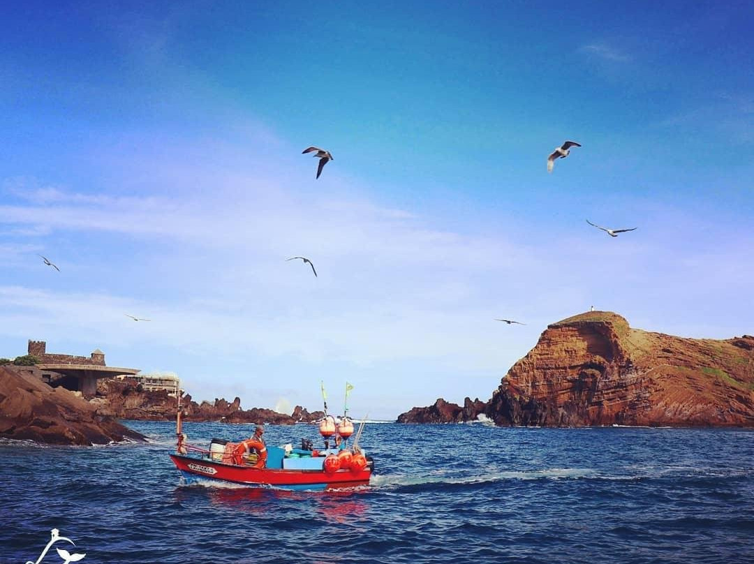 Madeira Wild Blue - Tours & W.W.-卡列塔必去景点