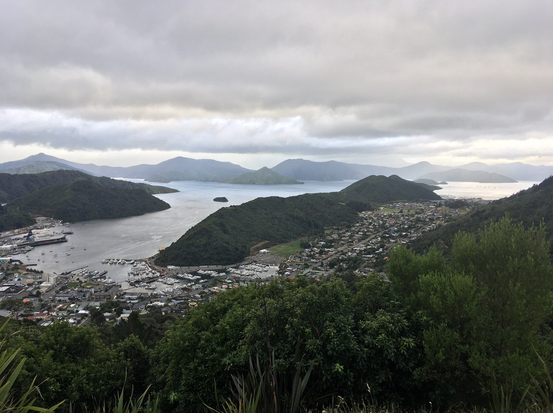 Tirohanga Track景点图片