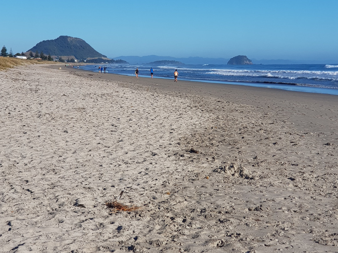 Boatshed Motel Apartments Mt. Maunganui主图