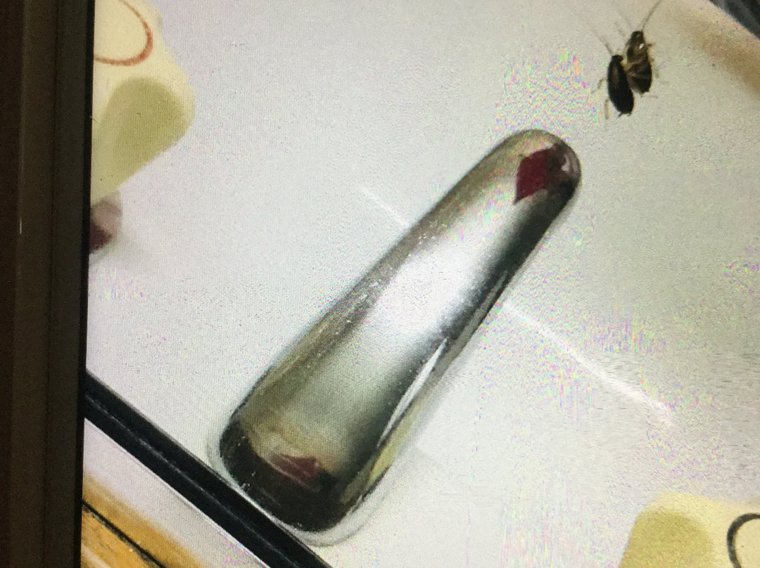 猎人谷汽车旅馆主图