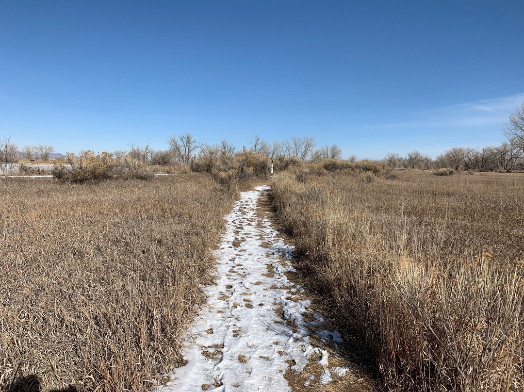 Arapahoe Bend Natural Area-科林斯堡必去景点