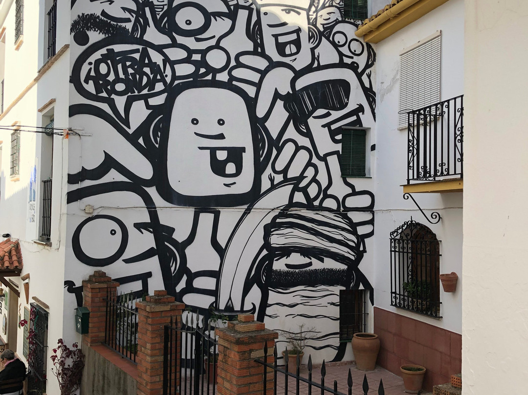 Museo de Arte Contemporaneo景点图片