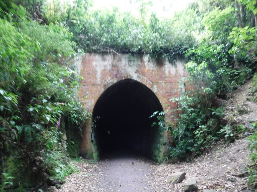 Tunnel Hill景点图片