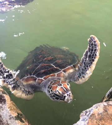 Leisure Tours International-Gampaha必去景点