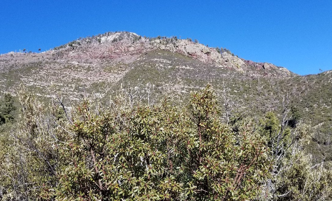 Miller Canyon景点图片