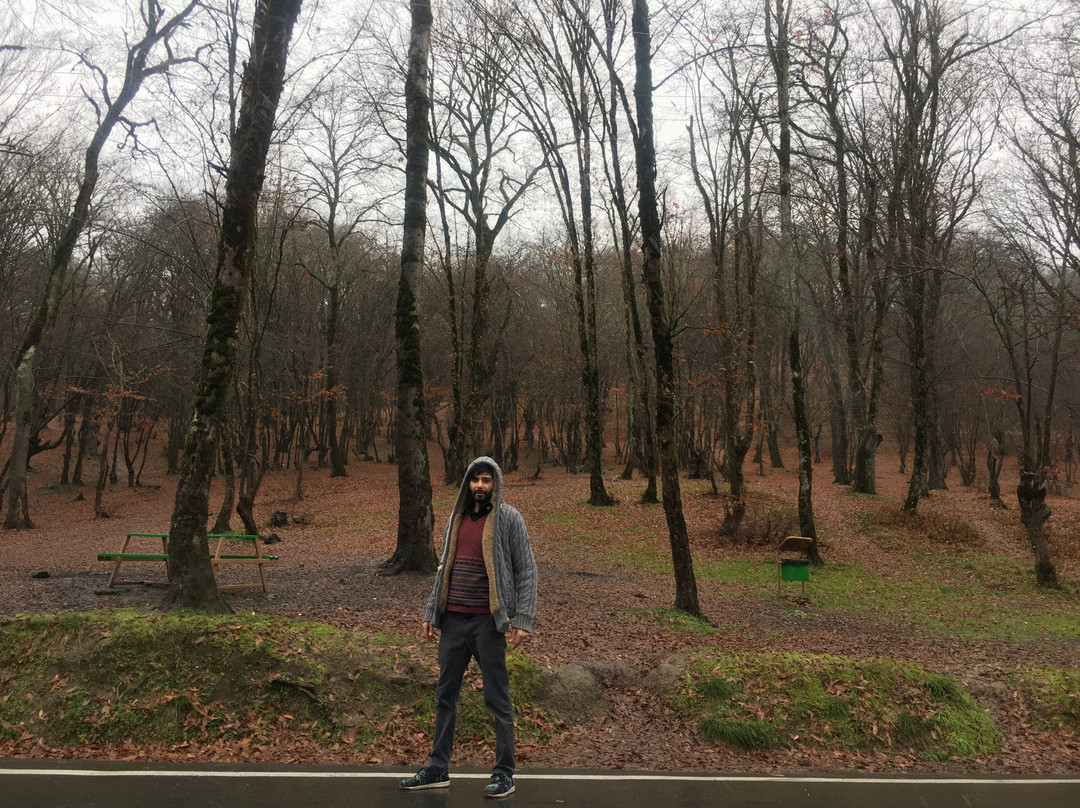 Alangdareh Forest Park景点图片