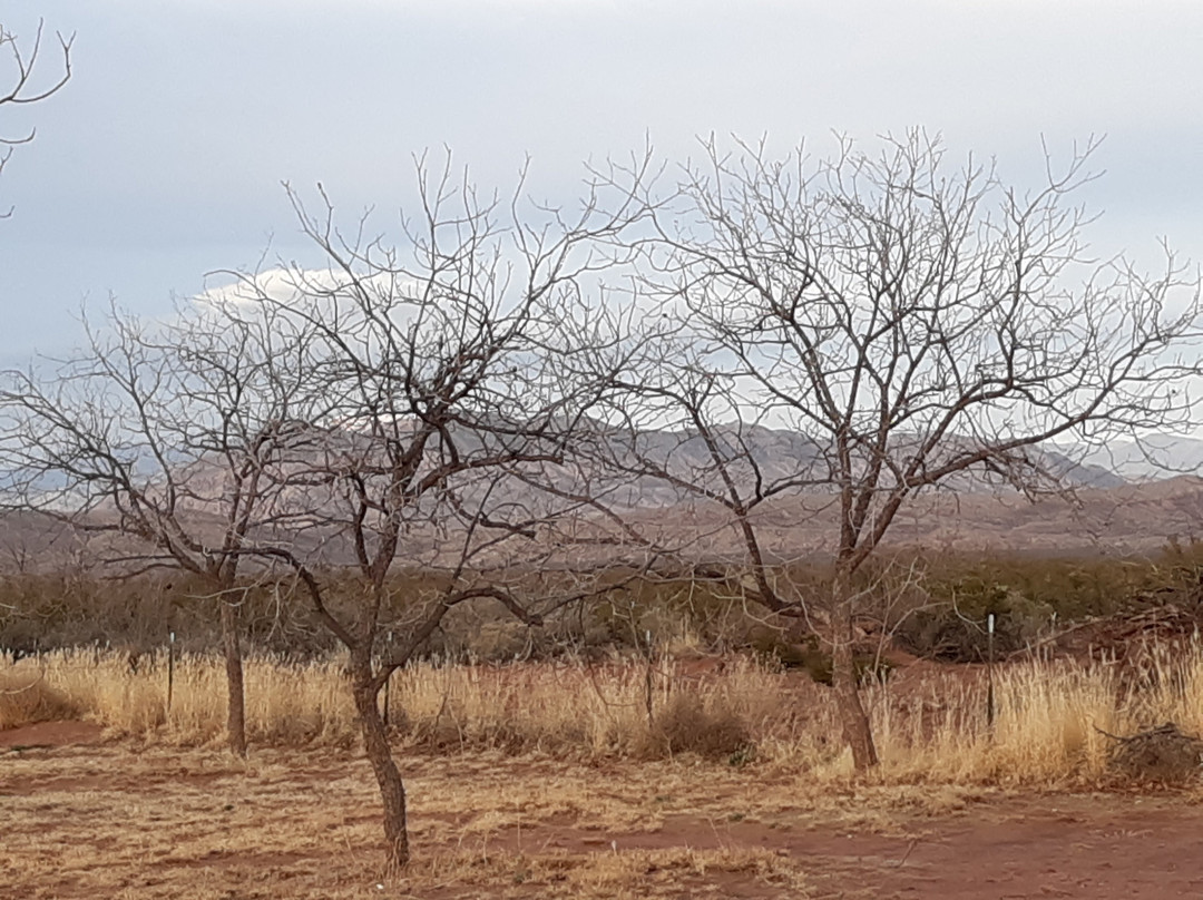 Tularosa Vineyards景点图片