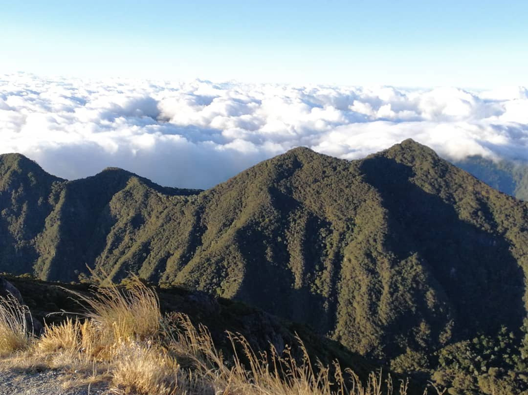 Volcan Baru National Park景点图片