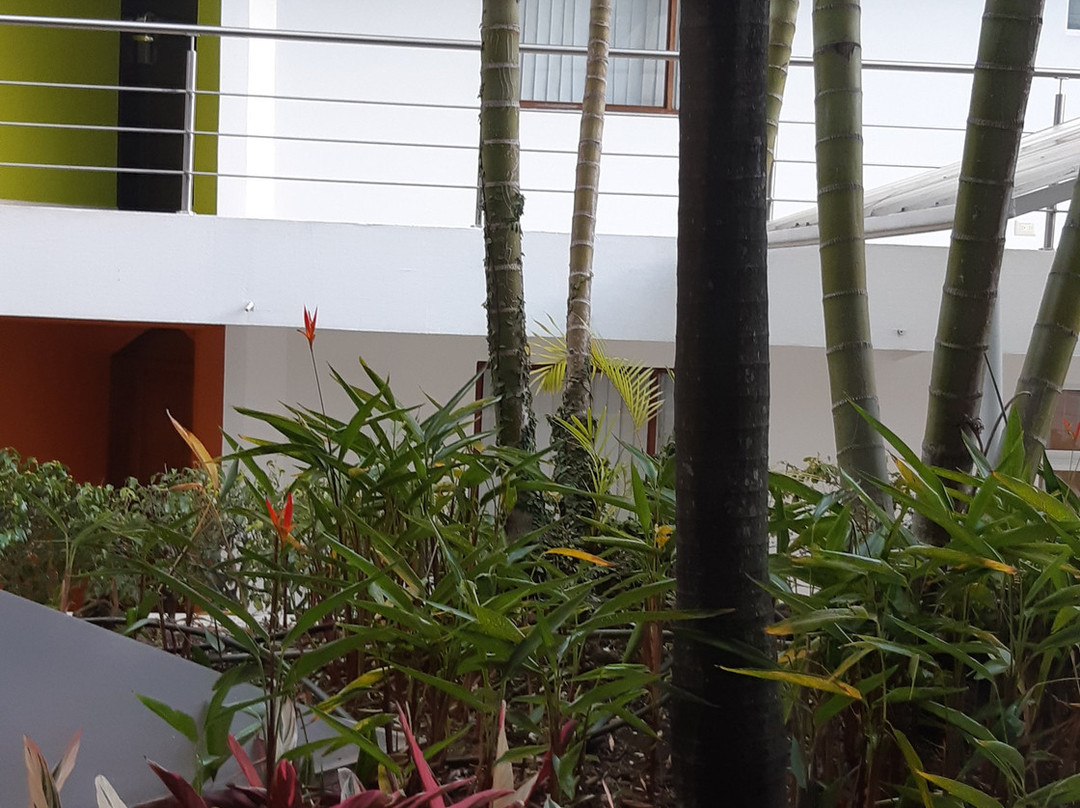 Suites Cristina Apartamentos主图