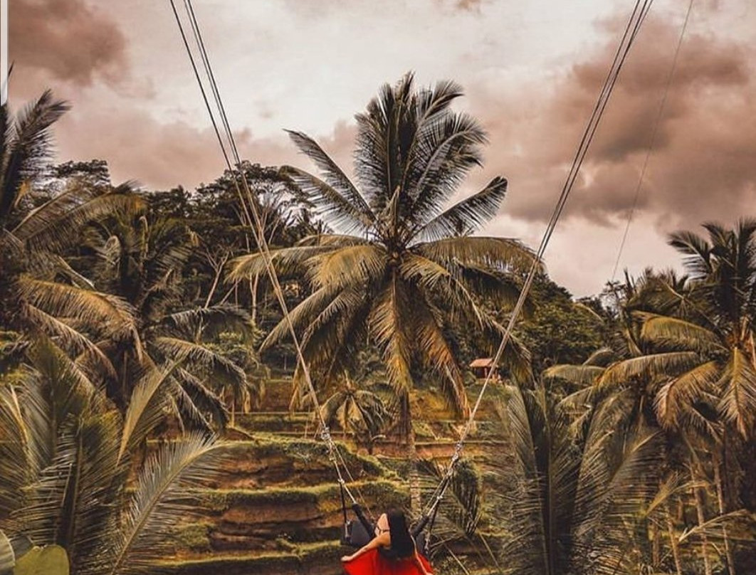 乌布友好司机服务-乌布必去景点