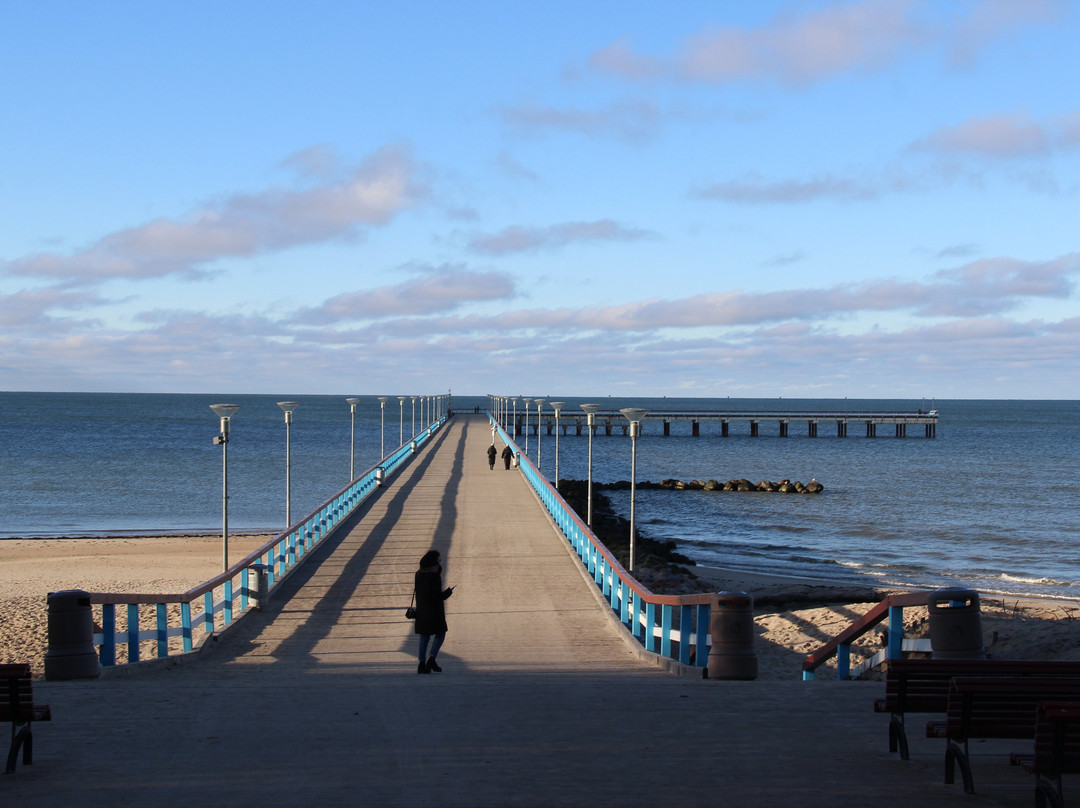 帕兰加旅游景点-Bridge of Palanga