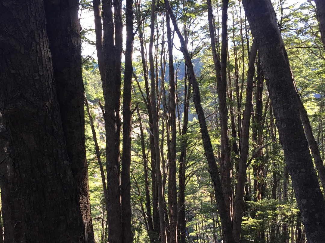 Carpintero Negro Aventuras-Futaleufu必去景点