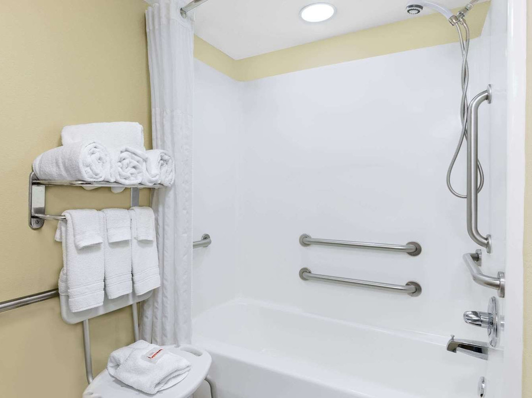 Microtel Inn & Suites by Wyndham Starkville主图