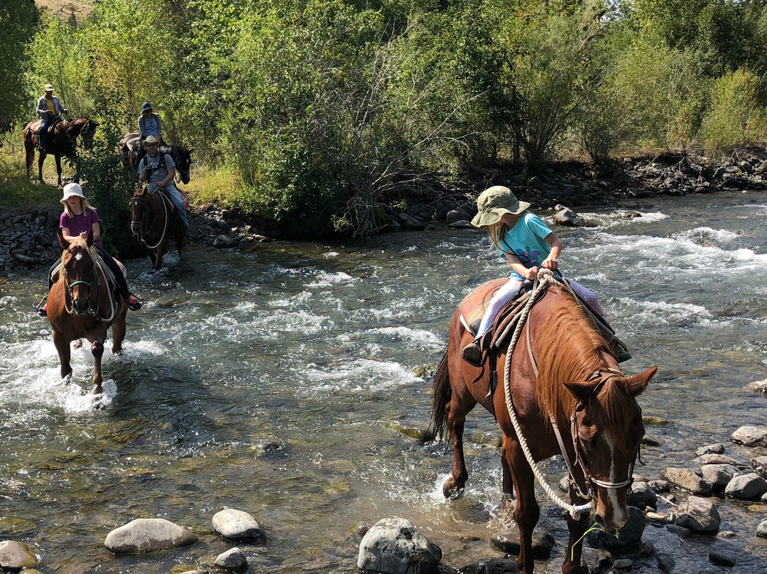 Bill Cody Ranch -Horseback Riding景点图片
