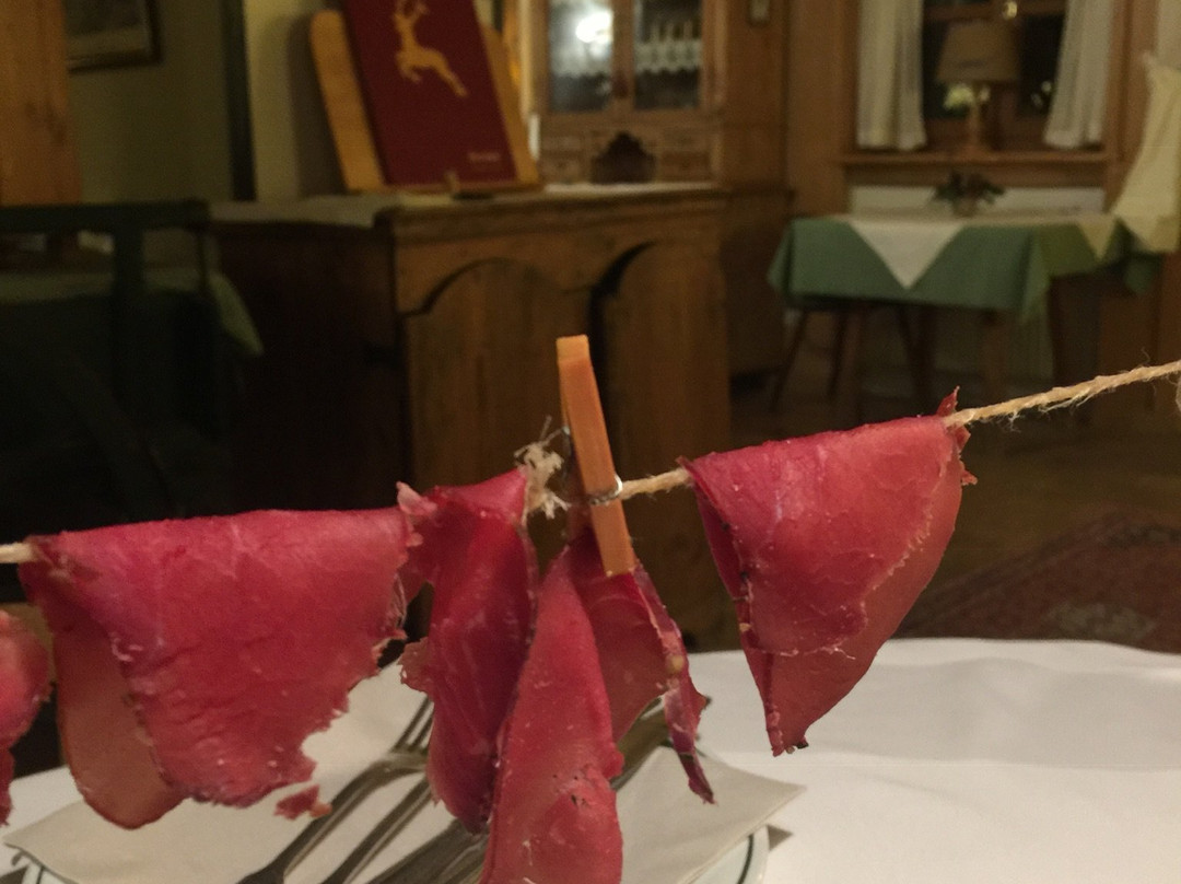 Almtalhof Hotel主图