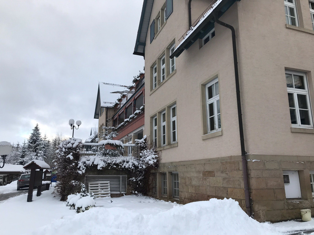 Schwarzwald Parkhotel主图