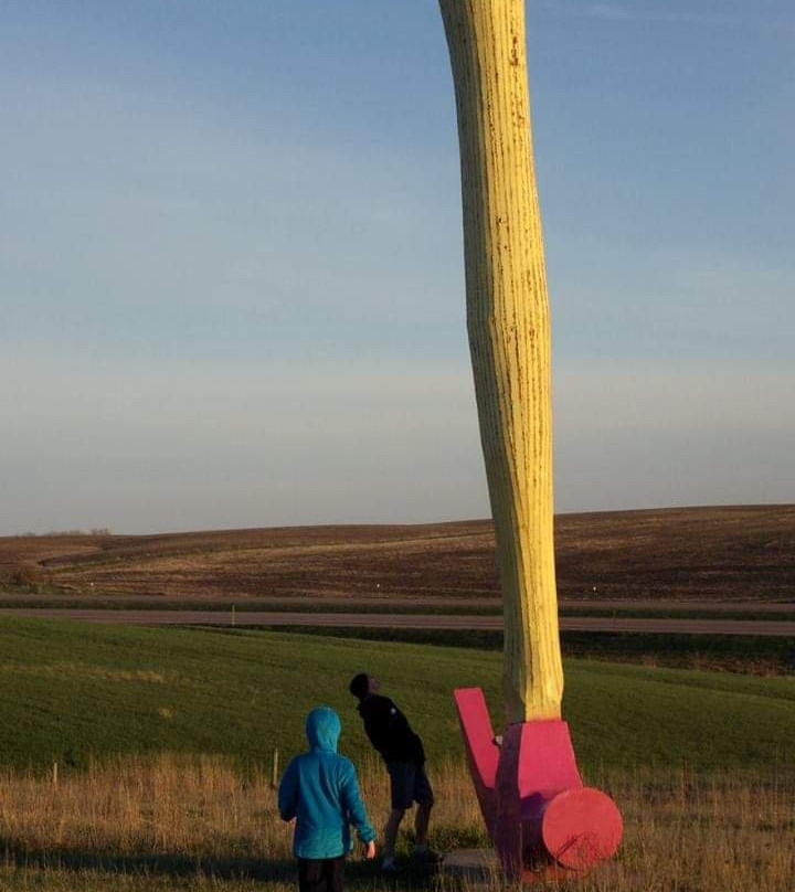 Porter Sculpture Park-Montrose必去景点