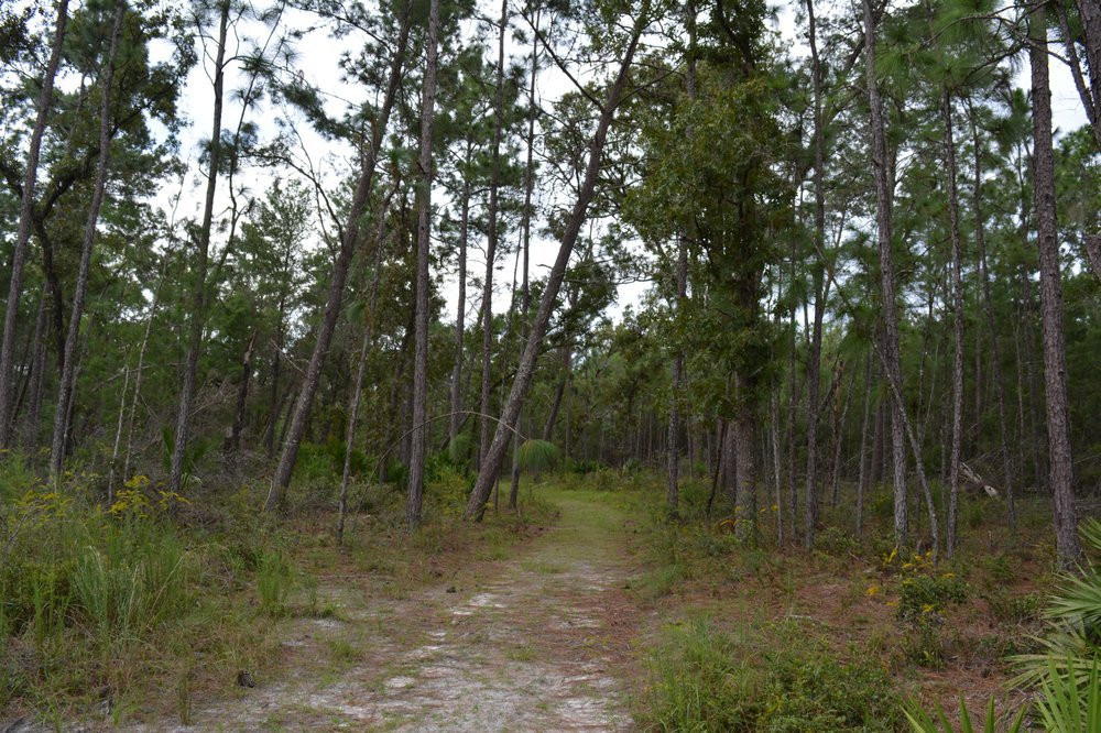 Lower Wekiva River State Preserve-桑福德必去景点