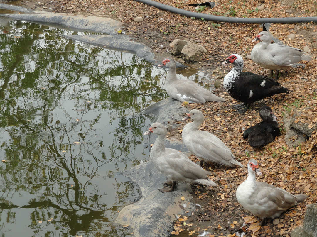 Parque las Malocas-比亚维森西奥必去景点