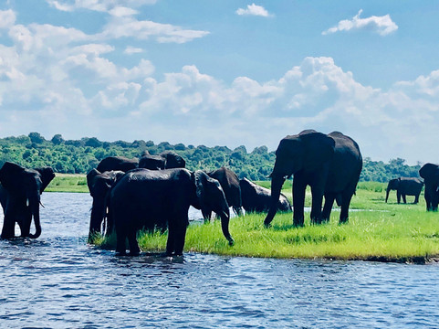 Wenhau Safaris & Tours-哈拉雷必去景点