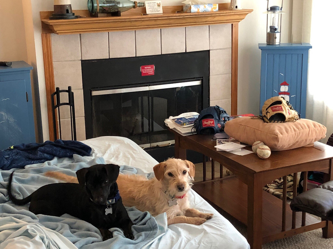 Hi-Tide Ocean Beach Resort主图