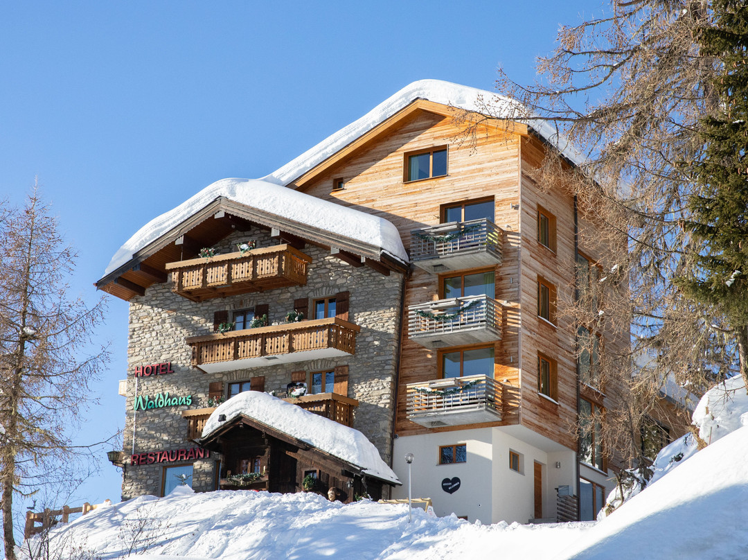 Hotel Waldhaus主图