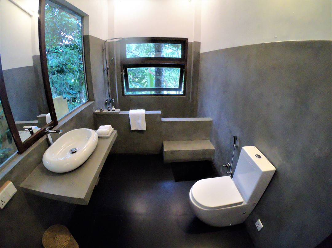 The Jungle Loft主图