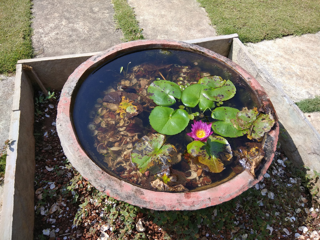 Whistling Waves Beach Resort & Camping主图