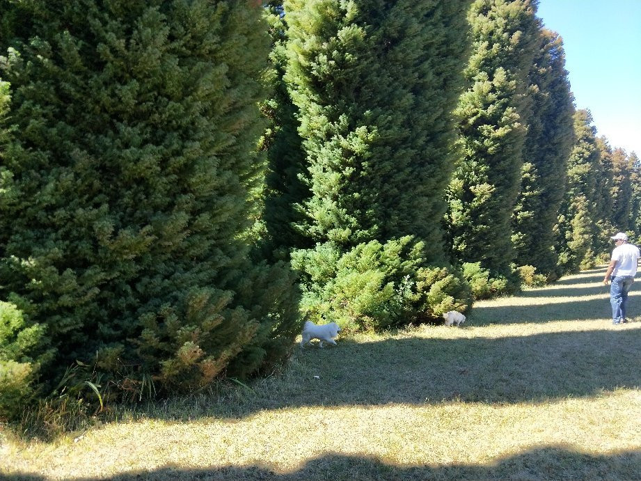 R.J. Hamer Arboretum-奥林达必去景点