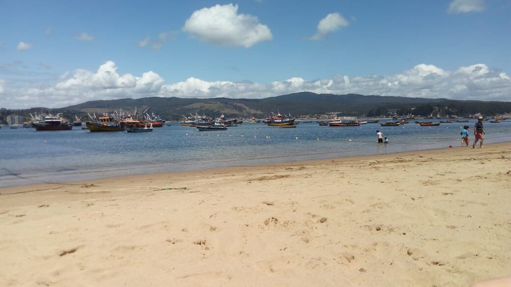 Playa Coliumo-Tome必去景点