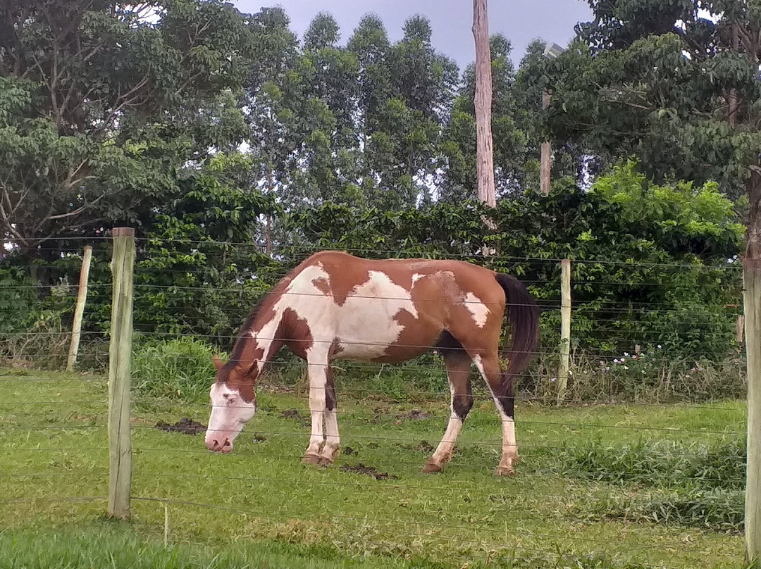 Fazenda Hotel Vale Verde主图