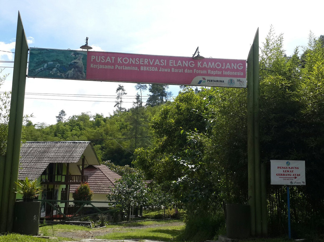 Kamojang Eagle Conservation Center景点图片