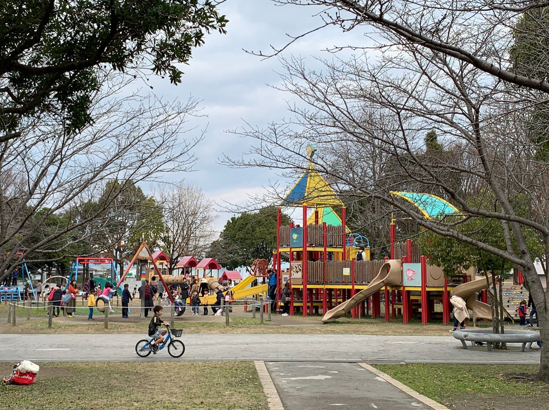 Mizunimanosato Two Thousand Momorial Park景点图片