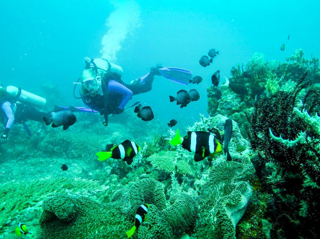 Madang Resort Scuba Diving景点图片