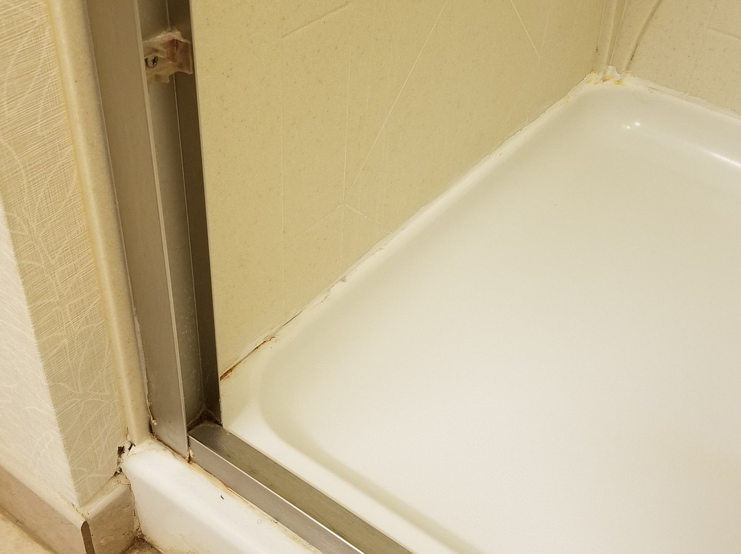 Hampton Inn Ozark主图