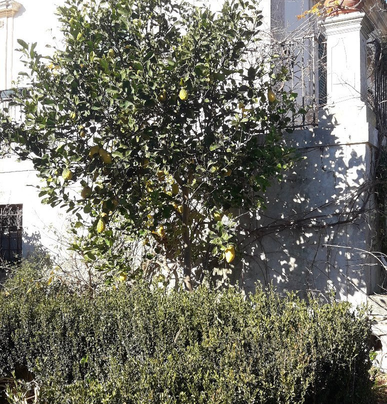 Modica Garden Resort主图