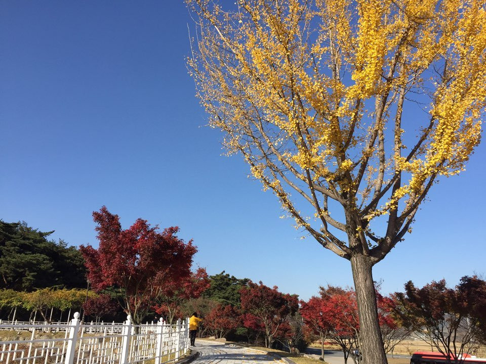 Tongiljeon-庆州市必去景点