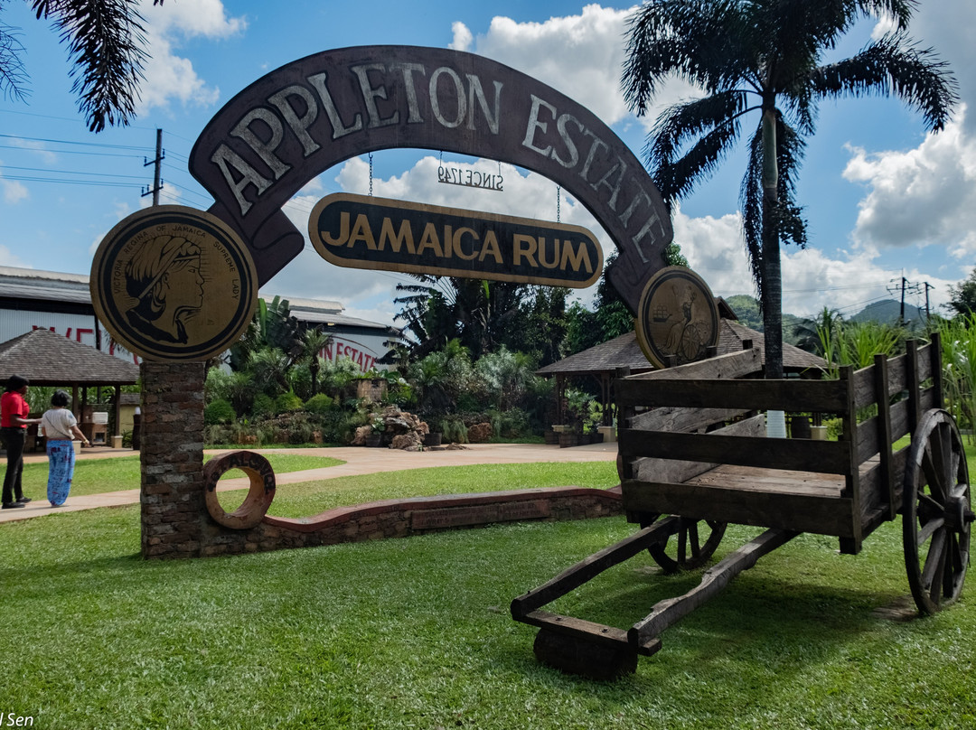 The Joy Spence Appleton Estate Rum Experience景点图片