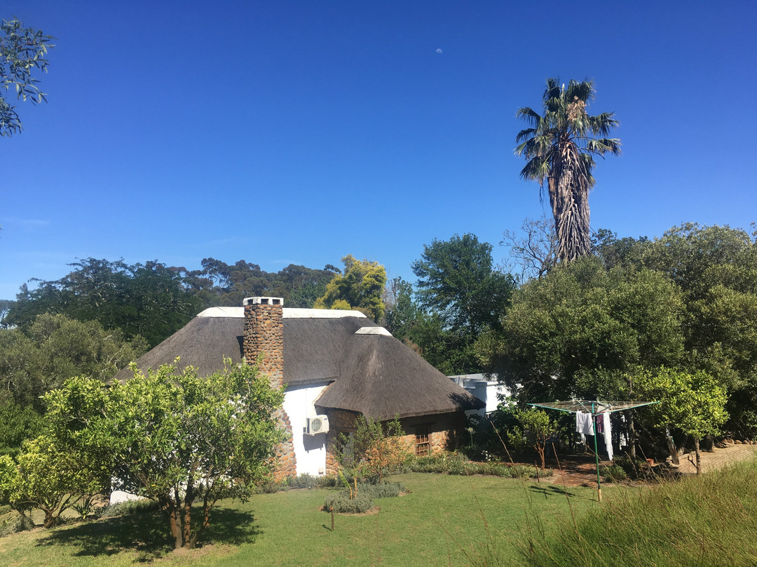 Oude Wellington Estate主图